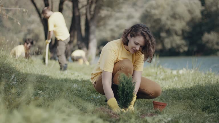 Best Lawn Disease Treatment  in Quantico Base, VA